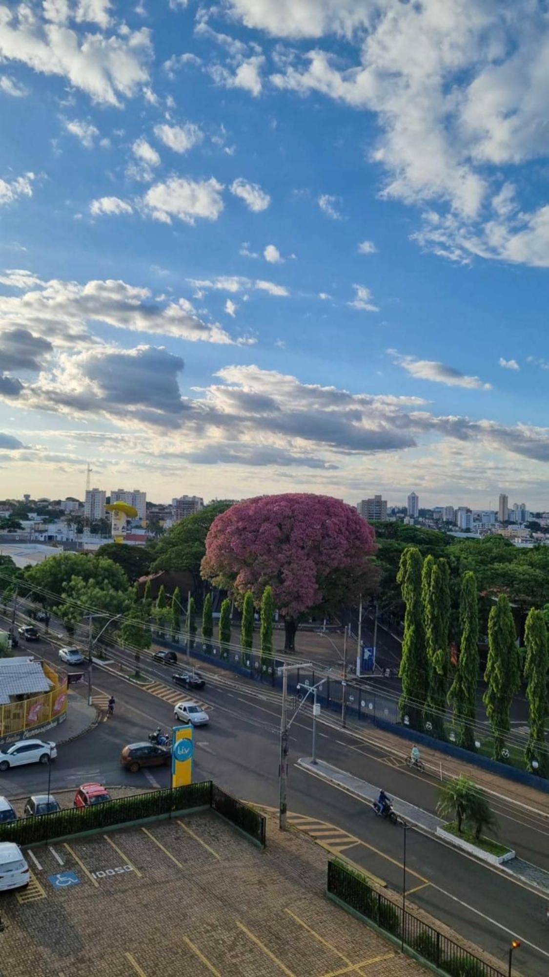 Hotel Golden Park Uberaba By Nacional Inn ห้อง รูปภาพ